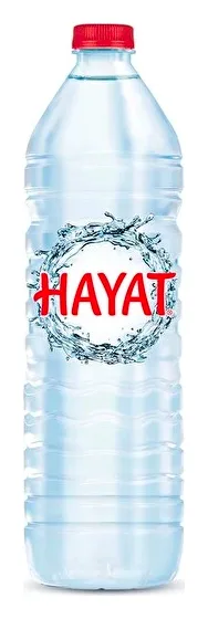 Hayat Naturwasser 1,5L
