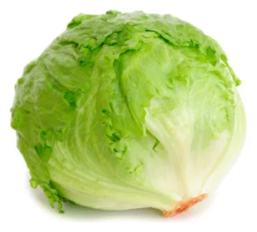 Eisbergsalat 10stk