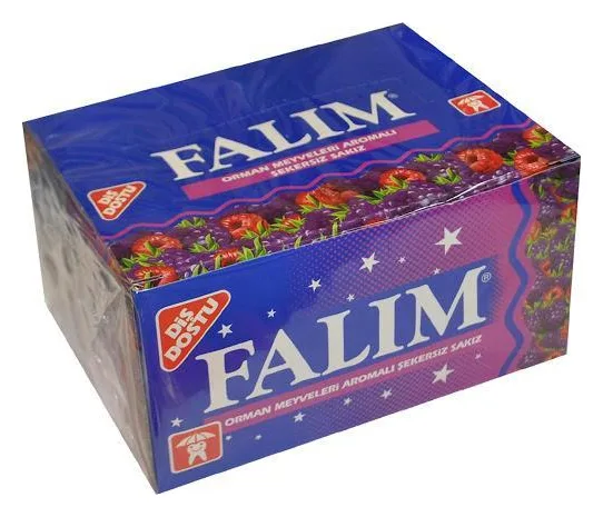 Falim Waldbeerenaroma Kaugummi 100 Stück Pack