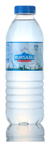 Bursa Su Mineralwasser 0,5L