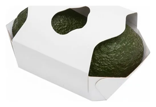 Avocado 2er