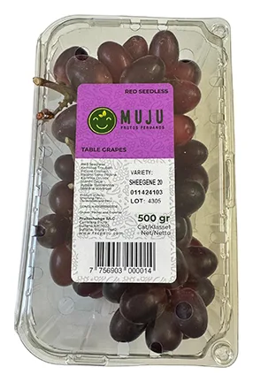 Tafeltrauben Kernlos 500g