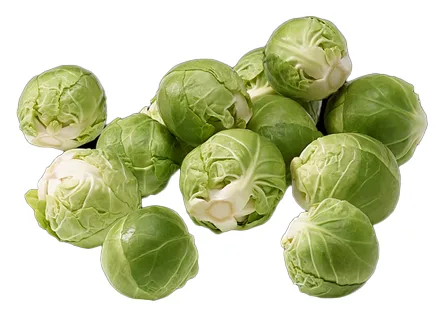 Rosenkohl Brüksel Sack