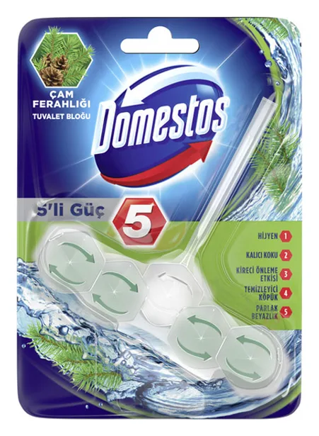 Domestos Power 5 WC-Stein Pine 55g