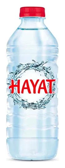 Hayat Naturwasser 0,5L