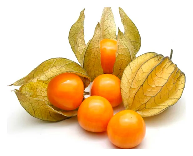 Physalis 100g