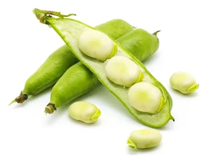 Saubohnen (Bakla) 400g