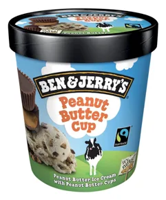 Ben&Jerrys Peanut Butter Cup 425g