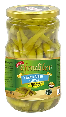 Efendiler Yakan Biber Tursusu 670g