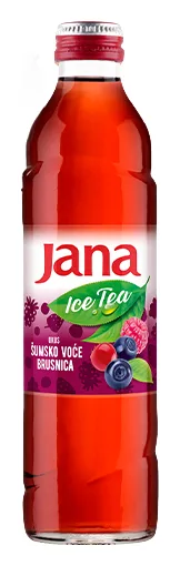 Jana Ice Tea Waldfrucht Glas 330ml