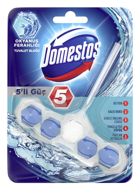 Domestos Power 5 WC-Stein Ocean 55g