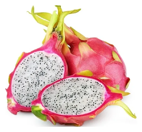 Drachenfrucht STK