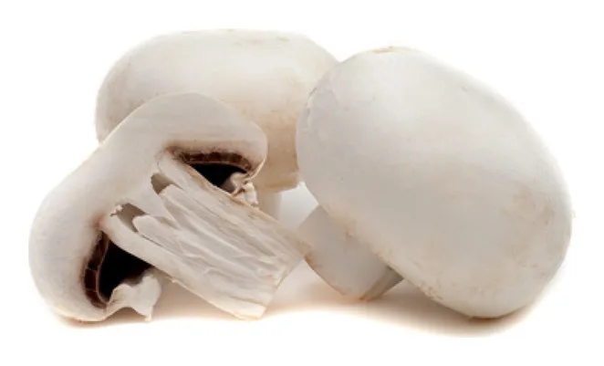 Champignons, 500g