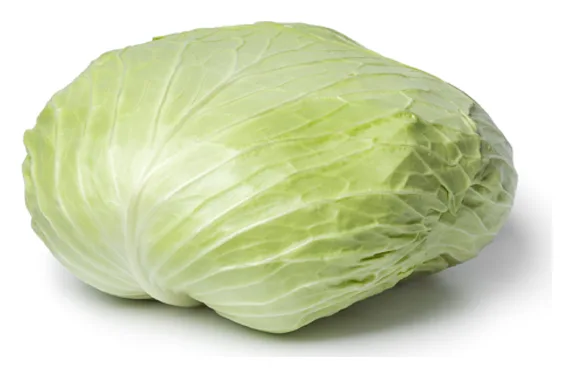 Flachkraut