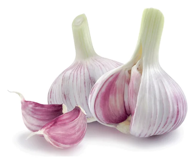 Französiche Knoblauch (ein Kopf)
