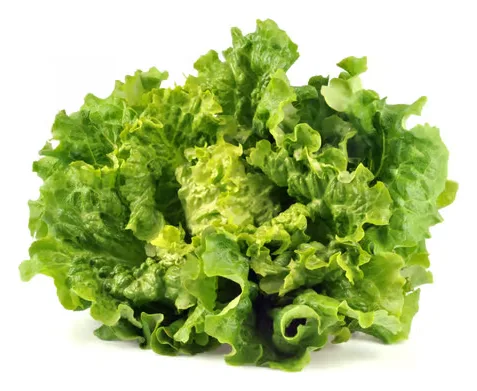 Grazer Salat