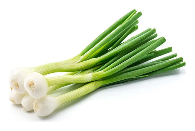 Jungzwiebel Bund