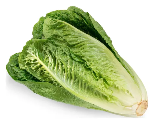 Kochsalat 1stk