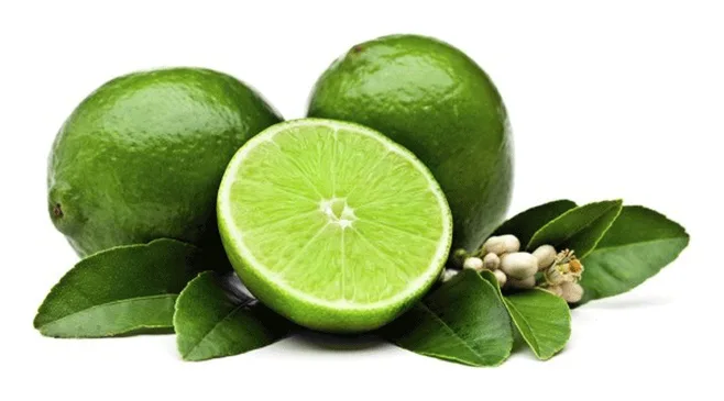 Limette 3 Stück