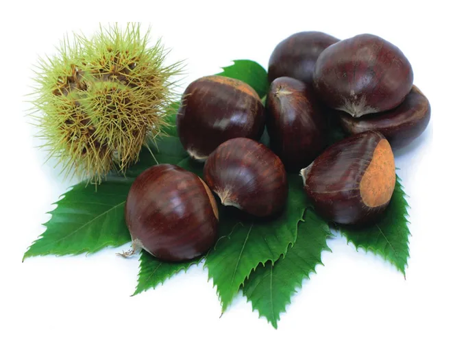 Maroni ca 1kg