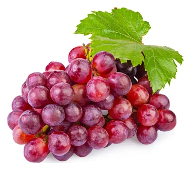 Trauben Rot Sultana Kernlos, 1kg