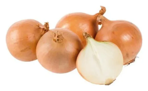 Zwiebel 1kg