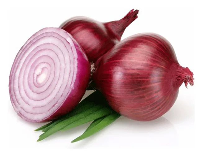Zwiebel Rot